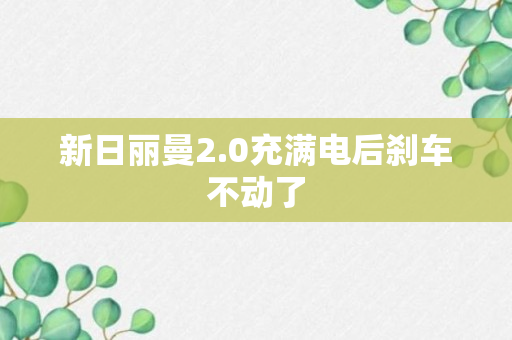 新日丽曼2.0充满电后刹车不动了