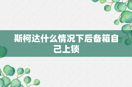 斯柯达什么情况下后备箱自己上锁