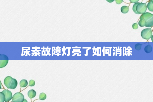 尿素故障灯亮了如何消除