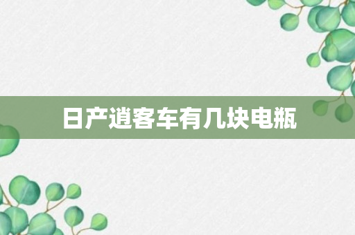 日产逍客车有几块电瓶