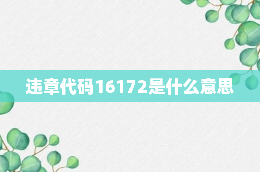 违章代码16172是什么意思