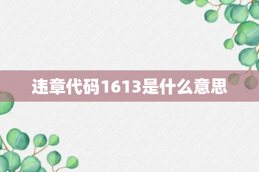 违章代码1613是什么意思