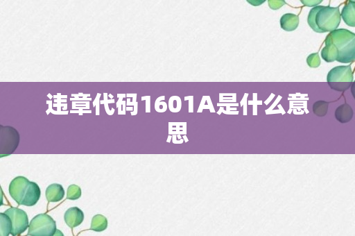 违章代码1601A是什么意思