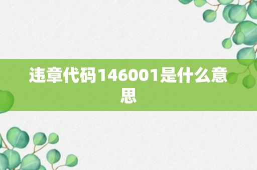 违章代码146001是什么意思