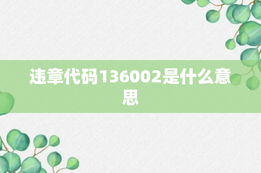 违章代码136002是什么意思