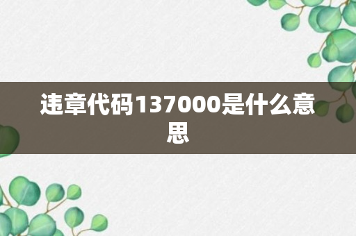 违章代码137000是什么意思