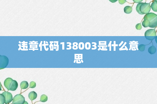 违章代码138003是什么意思