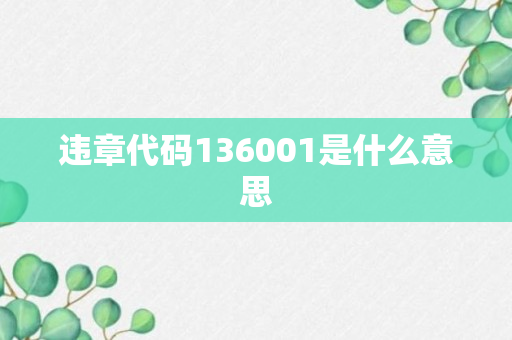 违章代码136001是什么意思