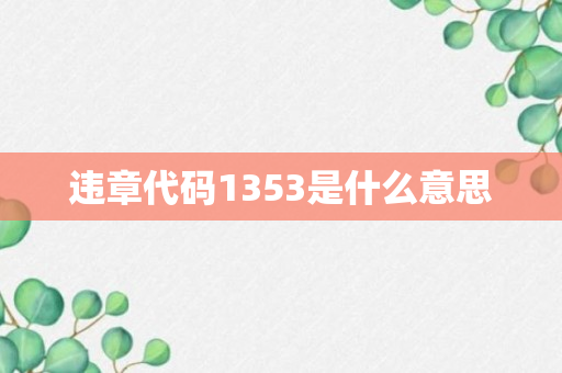 违章代码1353是什么意思