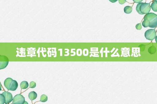 违章代码13500是什么意思