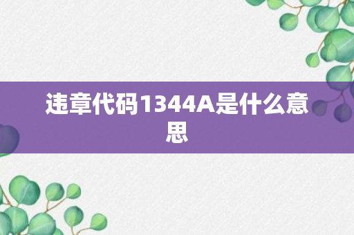 违章代码1344A是什么意思