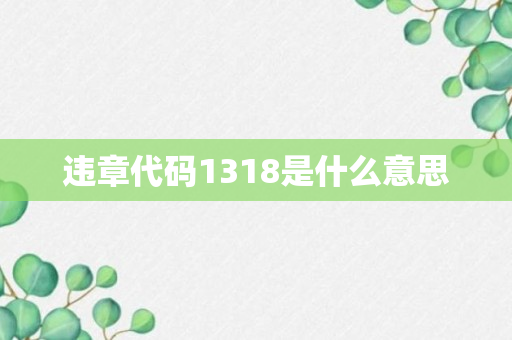 违章代码1318是什么意思