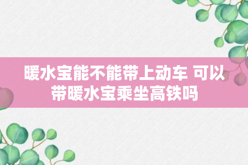 暖水宝能不能带上动车 可以带暖水宝乘坐高铁吗