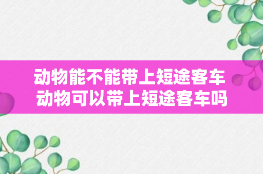 动物能不能带上短途客车 动物可以带上短途客车吗