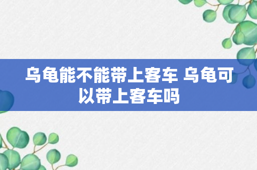 乌龟能不能带上客车 乌龟可以带上客车吗