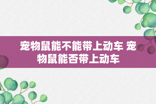 宠物鼠能不能带上动车 宠物鼠能否带上动车