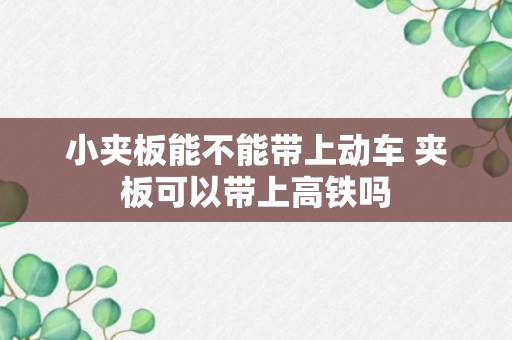 小夹板能不能带上动车 夹板可以带上高铁吗