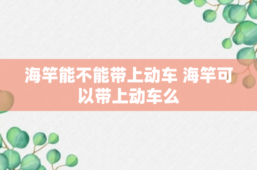 海竿能不能带上动车 海竿可以带上动车么