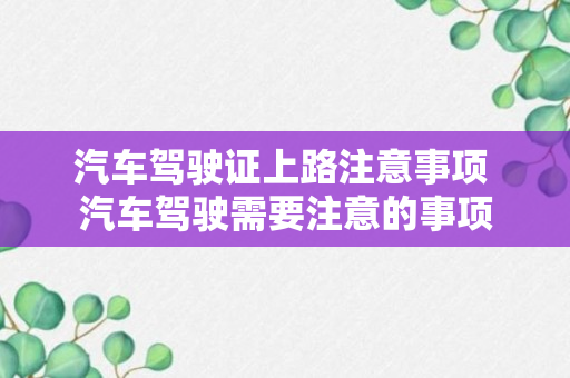 汽车驾驶证上路注意事项 汽车驾驶需要注意的事项