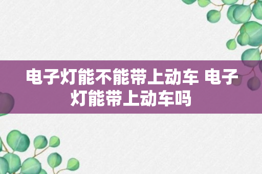 电子灯能不能带上动车 电子灯能带上动车吗