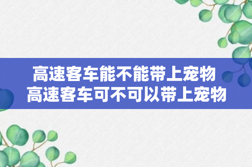 高速客车能不能带上宠物 高速客车可不可以带上宠物