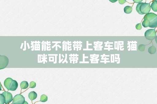 小猫能不能带上客车呢 猫咪可以带上客车吗