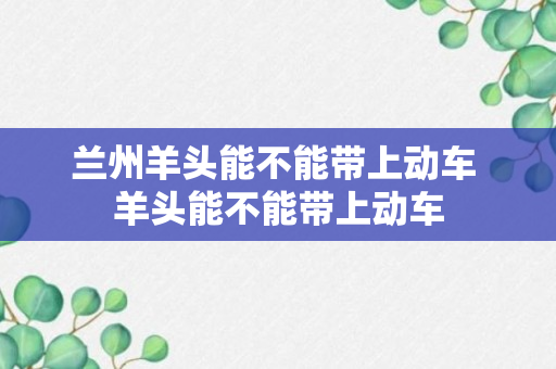 兰州羊头能不能带上动车 羊头能不能带上动车