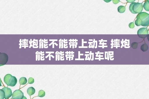 摔炮能不能带上动车 摔炮能不能带上动车呢