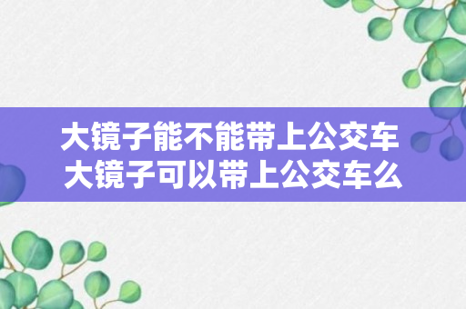 大镜子能不能带上公交车 大镜子可以带上公交车么