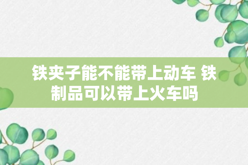 铁夹子能不能带上动车 铁制品可以带上火车吗