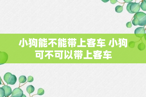 小狗能不能带上客车 小狗可不可以带上客车