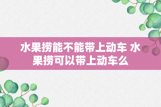 水果捞能不能带上动车 水果捞可以带上动车么