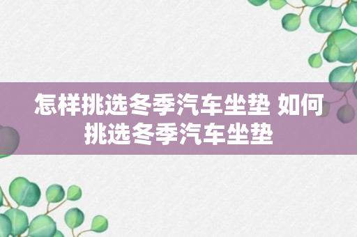 怎样挑选冬季汽车坐垫 如何挑选冬季汽车坐垫