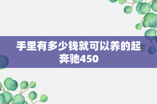 手里有多少钱就可以养的起奔驰450