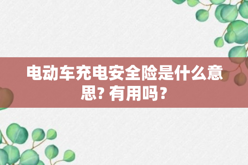 电动车充电安全险是什么意思? 有用吗？