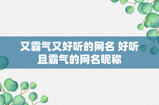 又霸气又好听的网名 好听且霸气的网名昵称