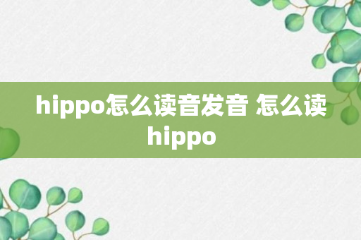 hippo怎么读音发音 怎么读hippo