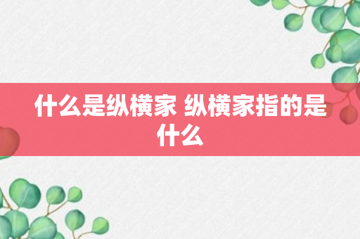 什么是纵横家 纵横家指的是什么