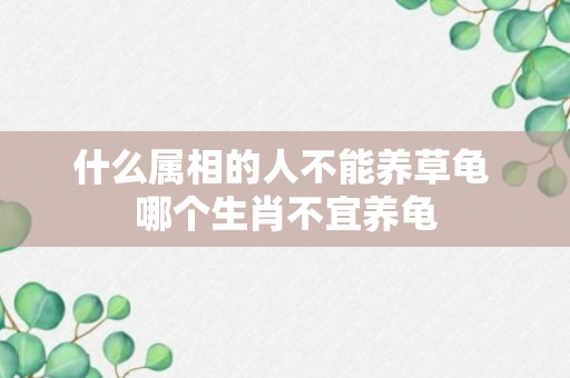 什么属相的人不能养草龟 哪个生肖不宜养龟