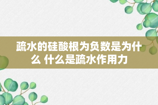 疏水的硅酸根为负数是为什么 什么是疏水作用力