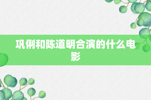 巩俐和陈道明合演的什么电影