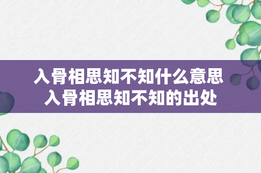 入骨相思知不知什么意思 入骨相思知不知的出处