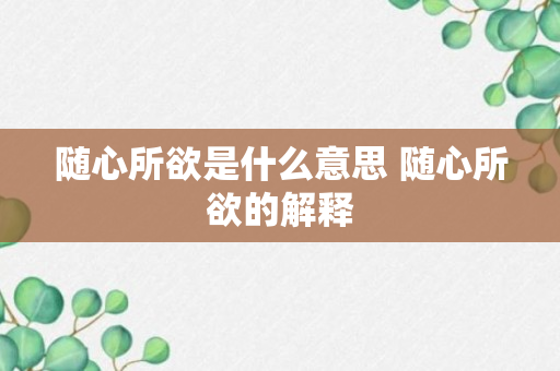 随心所欲是什么意思 随心所欲的解释