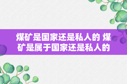 煤矿是国家还是私人的 煤矿是属于国家还是私人的