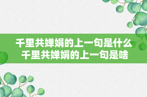 千里共婵娟的上一句是什么 千里共婵娟的上一句是啥