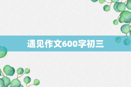 遇见作文600字初三