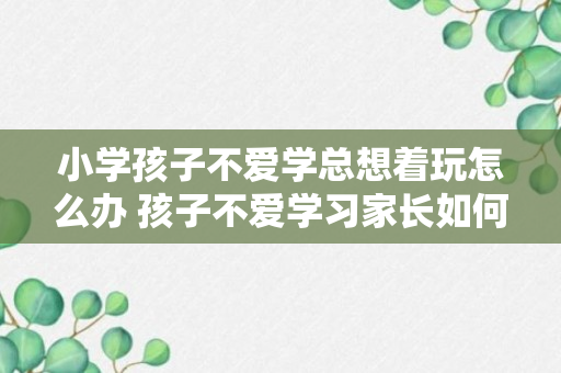 小学孩子不爱学总想着玩怎么办 孩子不爱学习家长如何做