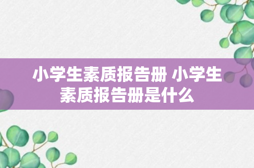 小学生素质报告册 小学生素质报告册是什么