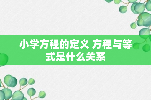 小学方程的定义 方程与等式是什么关系