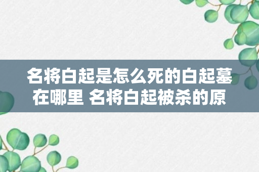 名将白起是怎么死的白起墓在哪里 名将白起被杀的原因